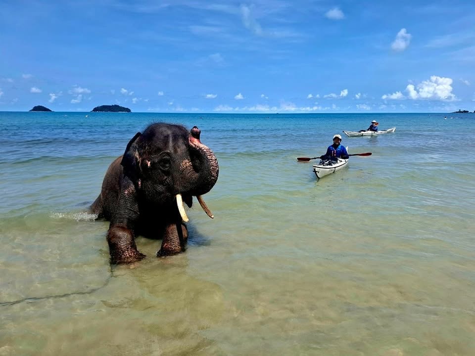 sea-kayaking-koh-chang-5-day-expedition