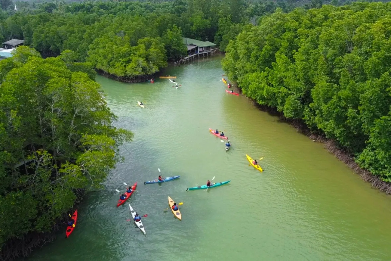 sea-kayaking-koh-chang-aerial-mangrove-channel